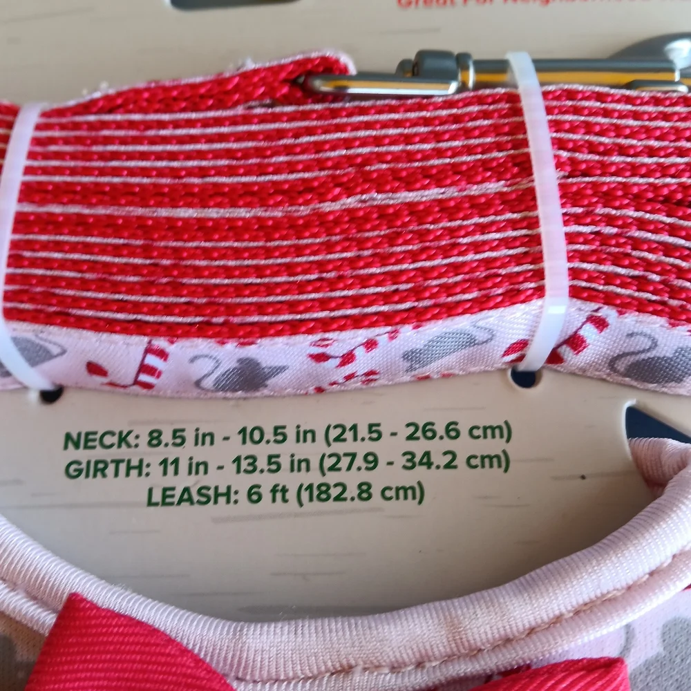 Holiday kitten vest harness and leash